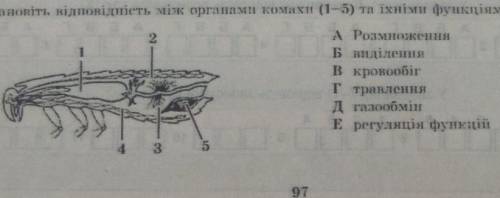 Установіть відповідність між органами комахи та їхніми функціями​