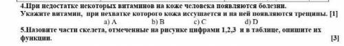 Укажите витамин при нехватке которого кожа иссушается и на ней появляются трещины​