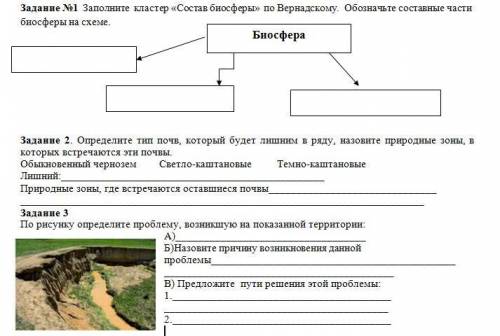 Заполните кластер какое сословие не указано в данной схеме