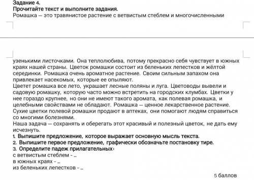 Прочитайте текст и выполните задания. Ромашка — это травянистое растение с ветвистым стеблем и много