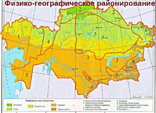 Где находится полупустыня на контурной карте ​