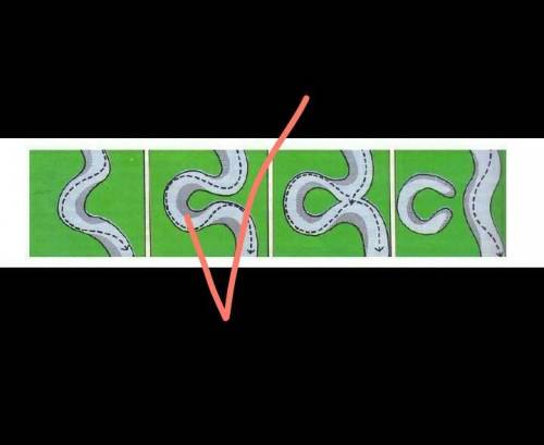 ❗❗❗❗❗❗❗❗Как называется процесс, изображенный на картинке? Отметьте крестиком место, где вы бы не рек