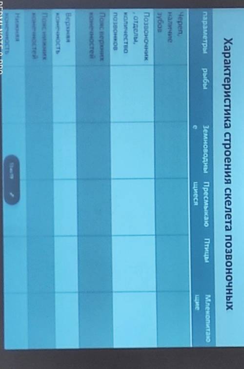Таблица по биологии 7 класс характеристика строения скелета позвоночных​