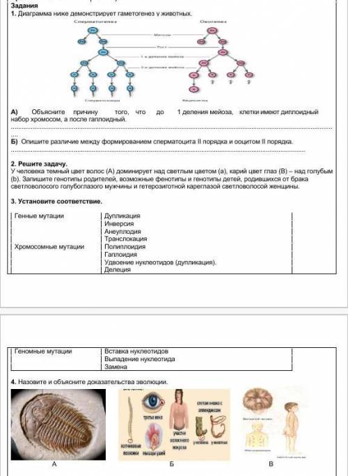 ответьте кто какой сможет , только честно , СПАМ-БАН! ​