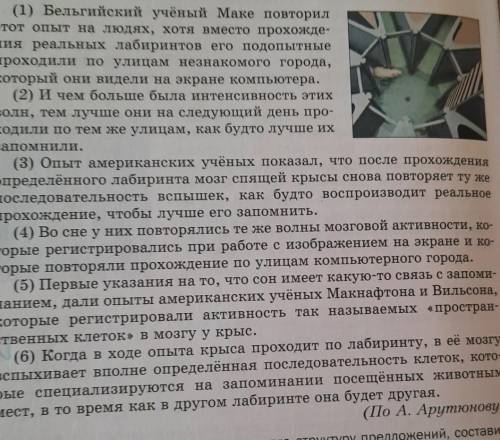 СПП с несколькими придаточными. Как расположены придаточные и главное в предложении