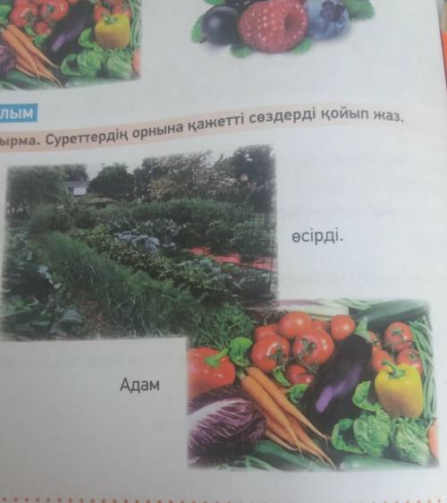 ЖАЗЫЛЫМ 4-тапсырма. Суреттердің орнына қажетті сөздерді қойып жаз.Адам өсірді.Адам өсір​