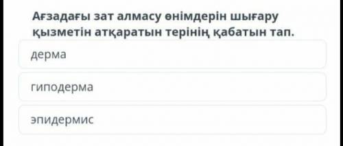 Найдите слой кожи, который служит для высвобождения продуктов метаболизма в организме. дерма, гипод