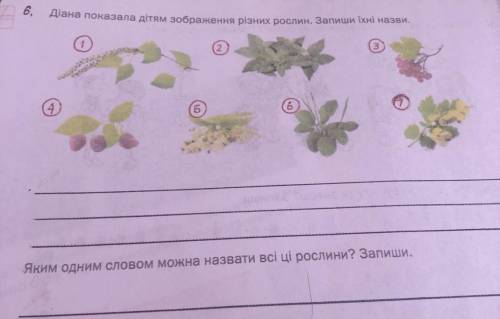 Діана показала дітям зображення різних рослин. Запиши їхні назви.