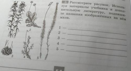 3. Рассмотрите рисунок. Исполь- зуя материалы учебника и дополнительнуюлитературу,те названия изобра