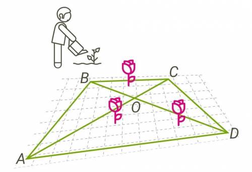 В парке при музее решили разбить клумбу в форме четырёхугольника. Две стороны этой клумбы (AD и BC),