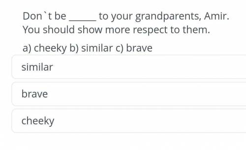 Don't be to your grandparents, Amir. You should show more respect to them. a) cheeky b) similar c) b