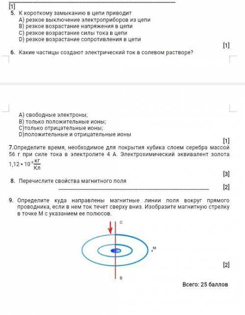 за ответы по СОЧ по Физике полностью ​