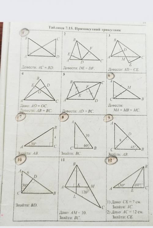 очень надо сделать 1,6,8,9,10,12​