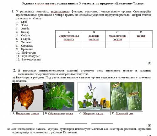 с СОЧем по биологии. ВНИМАНИЕ, В НЕКОТОРЫХ ЗАДАНИЯХ ЕСТЬ ВАРИАНТЫ А И Б, В ПОСЛЕДНЕМ СКРИНЕ ВВЕРХУ П