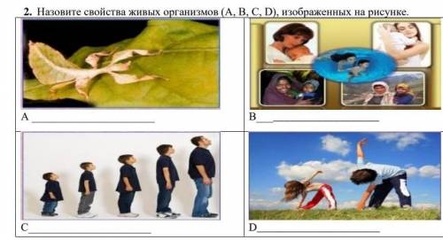 Назовите свойства живых организмов (А, В, С, D), изображенных на рисунке. А ВС D [​