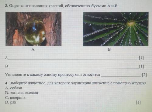 3. Определите названия явлений, обозначенных буквами А и В. ABAВУстановите к какому одному процессу