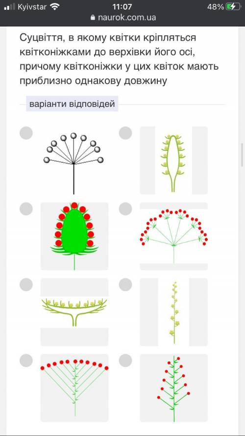 с практичный работой буду очень благодарна буду дякувати всем сердцем!