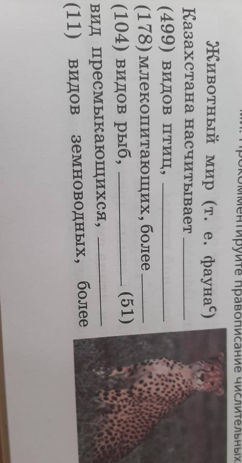 Спишите предложение, запишите числительные словами. Прокомментируйте проваписания числительных. Живо