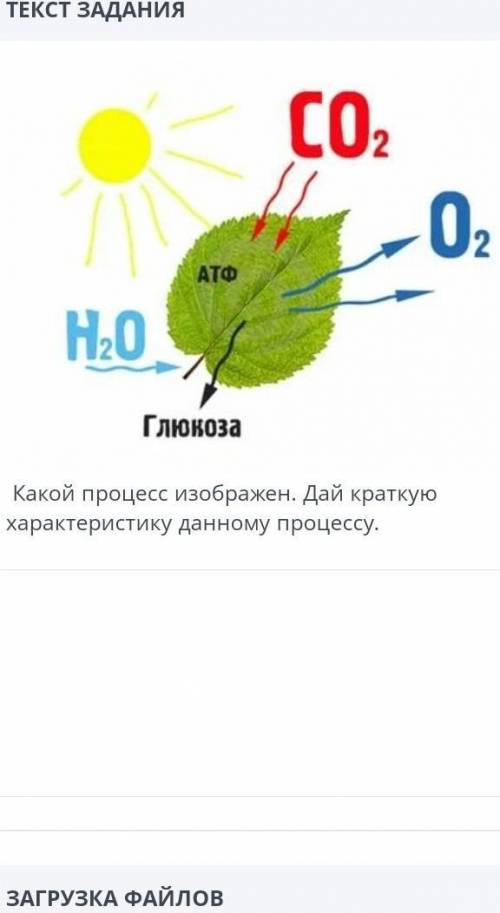 Какой процес изображон дай краткую краткую характеристику данному процесу​