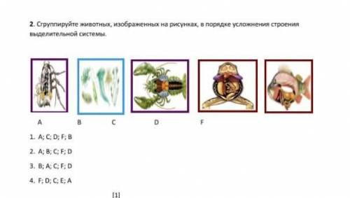 Сгруппируйте животных изображённых на рисунках в порядке усложнения строения выделительной системы ​