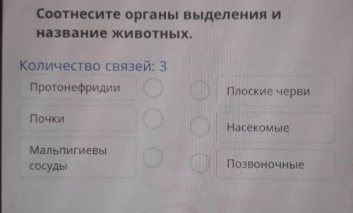 Соотнесите органы выделения и название животных.Количество связей: 3ПротонефридииПлоские червиПочкиН