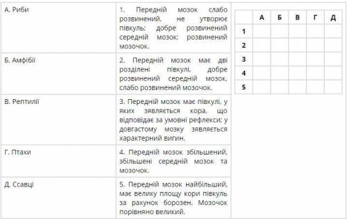 Порівняння будови головного мозку хребетних тварин