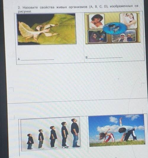 2. Назовите свойства живых организмов (А, В, С, D), изображенных нарисунке.B​