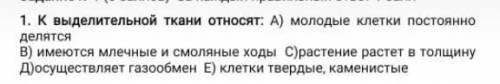 1. К выделительной ткани относят: А) молодые клетки постоянно делятся B) имеются млечные и смоляные