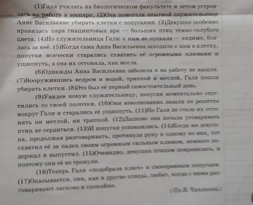 Какой факт, по мнению автора текста, свидетельствует Галя понравилась попугаям? ​