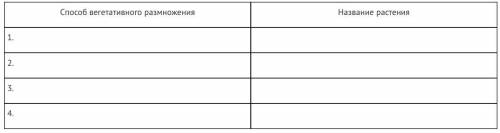 Какие органы растения называют вегетативными? Заполните таблицу «Вегетативное размножение растений»