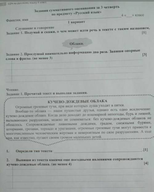 СОЧ по русскому языку сделайте ​