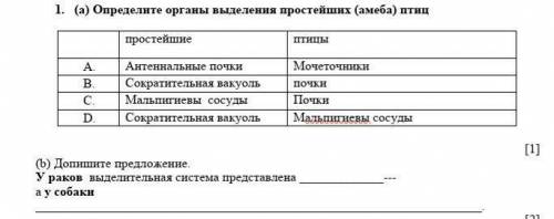 1. (а) Определите органы выделения простейших (амеба) простейшие птицы Антеннальные почки Мочеточник