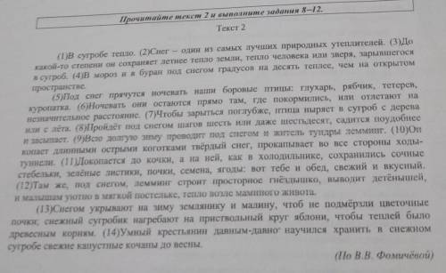 Определите, какой тип речи представлен в предложениях 5-8 текста. Запишите ответ. ответ.«сильная мет