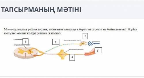 БИОЛОГИЯ ТЖБ ОНЛАЙН МЕКТЕП​