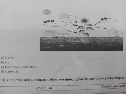 Определите объект, представленный буквой B на картинке. а) кислород b) воды с) углекислый газ d)