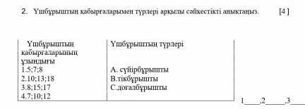 1. 5;7;8 . 2. 10;13;18. .3. 8;15;17. .4. 4;10;12. А) остроконечный. В)прямоугольный С)дугообразный​