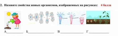 Назовите свойство живых организмов изображенных на рисунках​