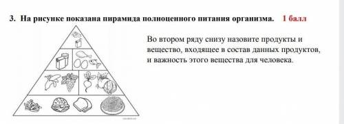 на рисунке показаны пирамида полноценного питания организма во втором ряду снизу Назовите продукты в