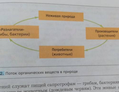 подберите примеры к каждому из звеньев​