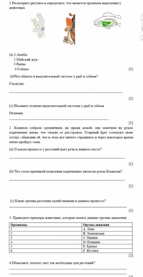 1 Расмотрите рисунок и определите, что является органами выделения у животных(а) 1. Амеба-2 Майский