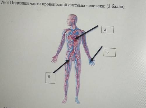 буду блокировать ответы по типуя не знаю аоаооаоадвдцлкхзвмлалу​