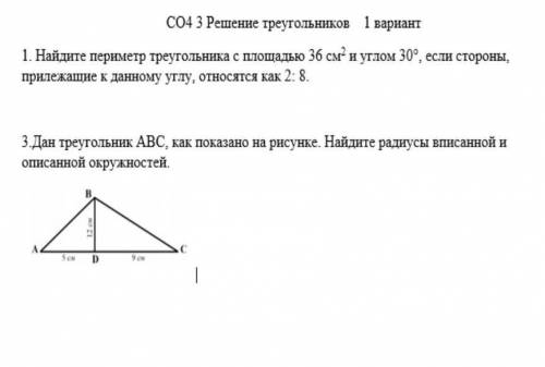 пожайлусто соч по геометрии ​