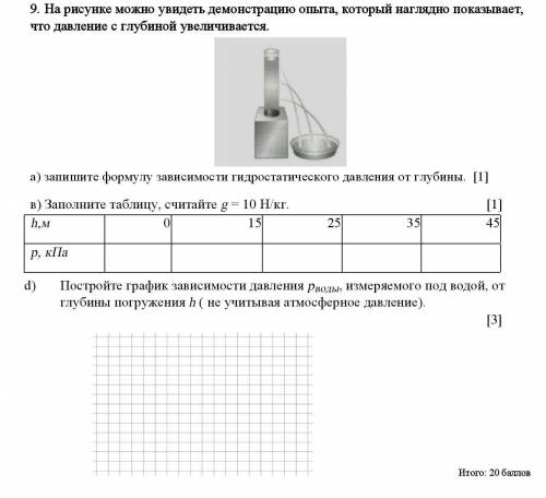 по сочу 9 задание сдлкайте все ​