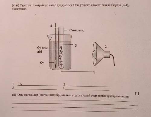 . Жаратылыстану Казахстан СОЧ не понял задание. Задание на казахском