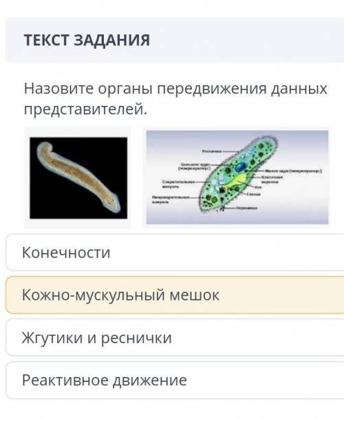 нужно можете ответить до ночи​