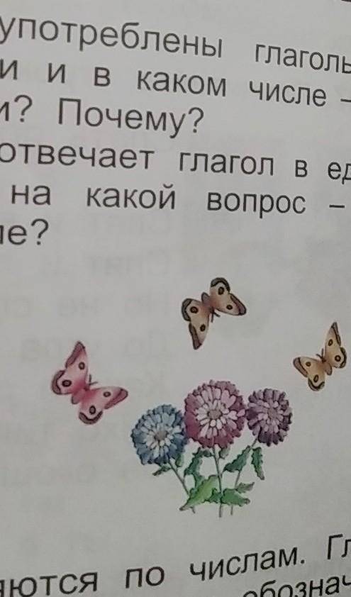 Рассмотрите рисунки Сравните Сколько предметов нарисовано слева и сколько справа Составьте и запишит