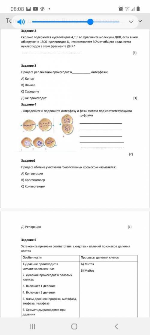 Определите и подпишите интерфазу и фазы митоза под соответсвующими цифрами