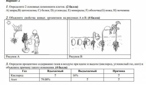 3. Определи процентное содержание газов в воздухе при вдохе и выдохе (кислород, углекислый газ, азот