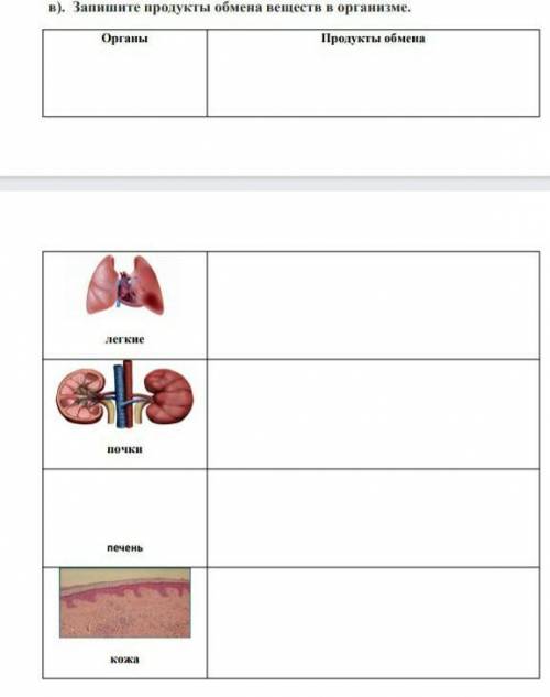 ЗА СПАМ БАНЗапишите продукты обмена веществ в организме.​