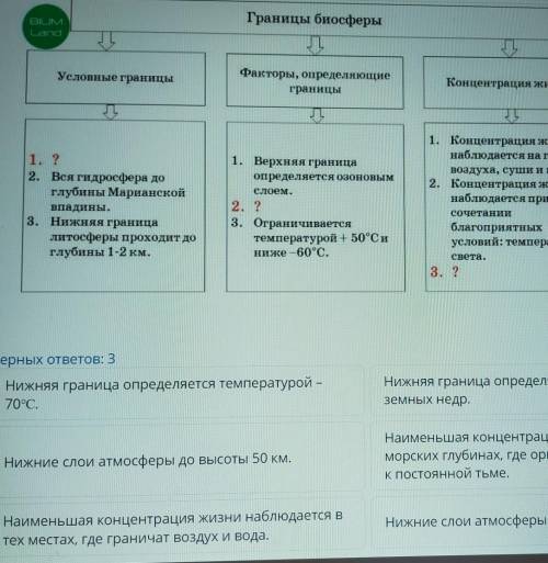 Проанализируй содержание схемы о границах биосферы и выбери утверждения, дополняющие данную схему: ​